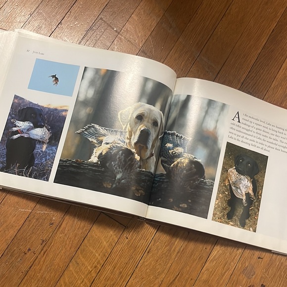 1995 Just Labs vintage hardcover book - Picture 15 of 17